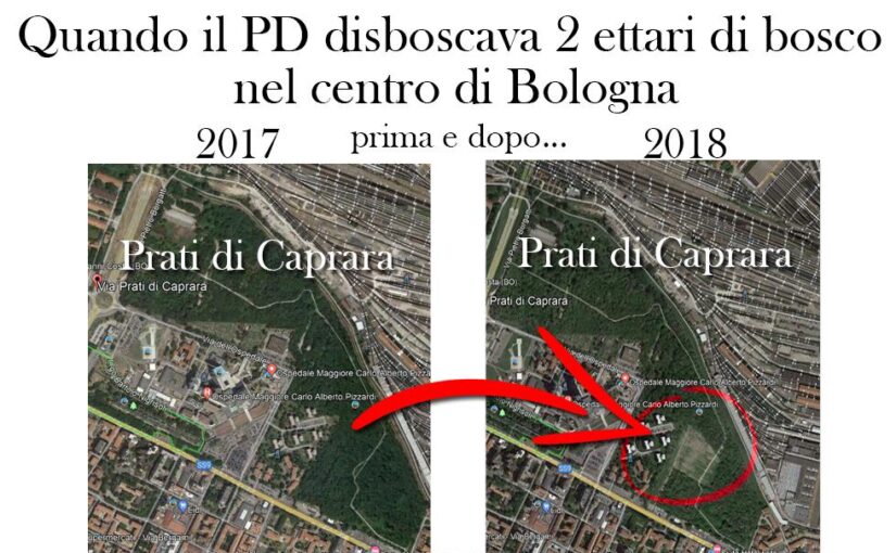 Quando il PD disboscava due ettari di bosco nel centro di Bologna